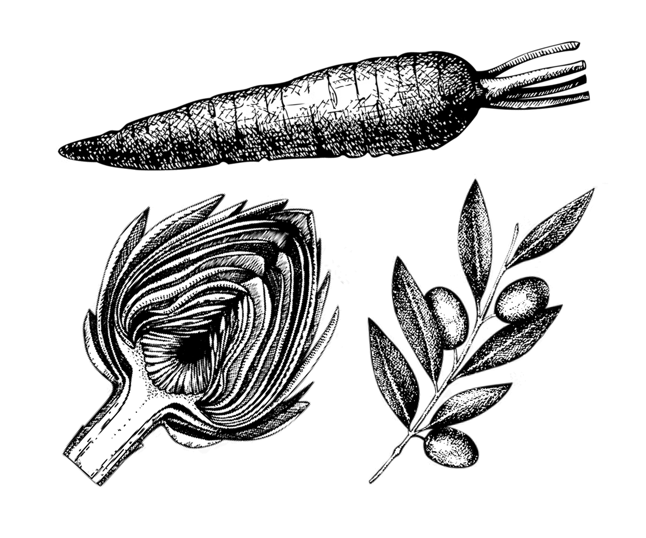 vegetables black and white